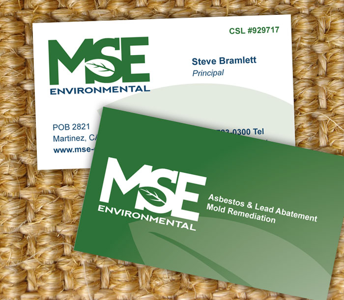 MSE Environmental Business Identity
