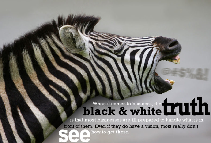 Robert Sachristan Corporate Zebra