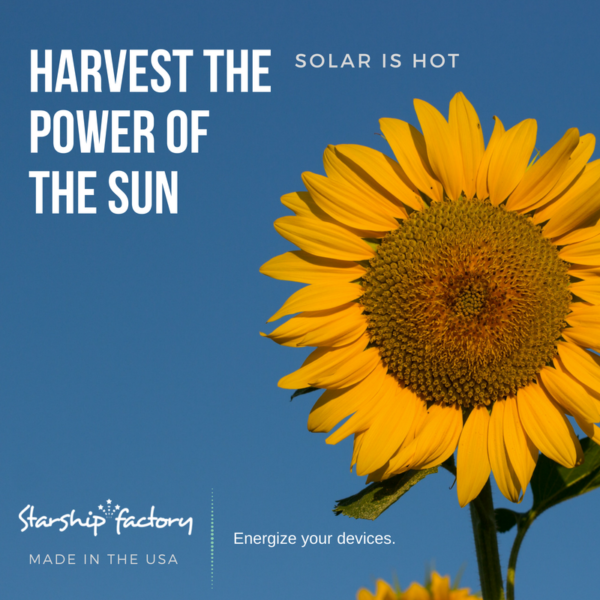 Starship Factory Sunflower